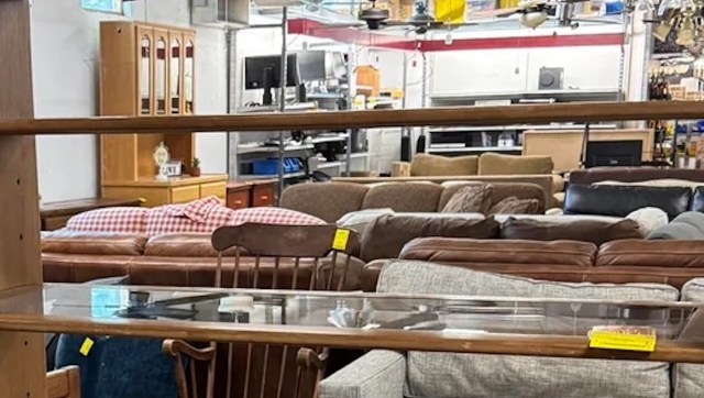 "What incredible luck!"