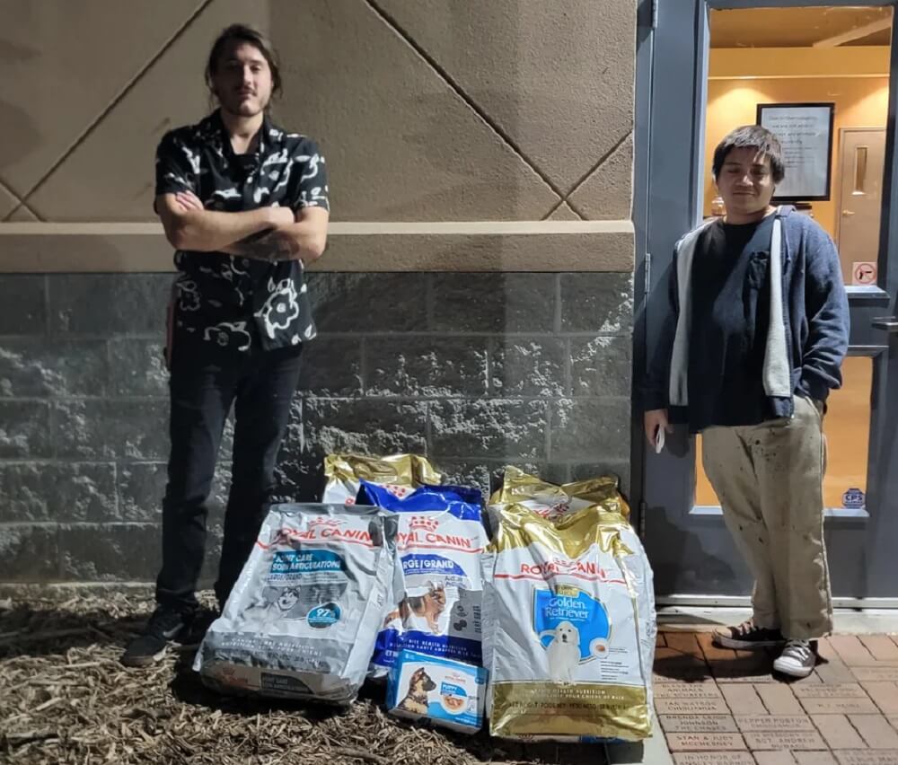 "My only regret is that I have but one upvote to offer."