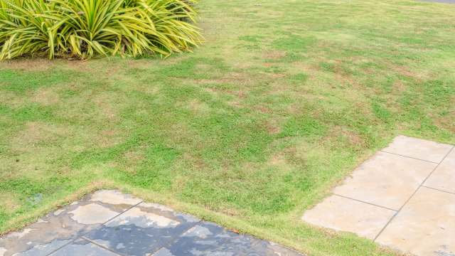 Commenters quickly came to their defense.