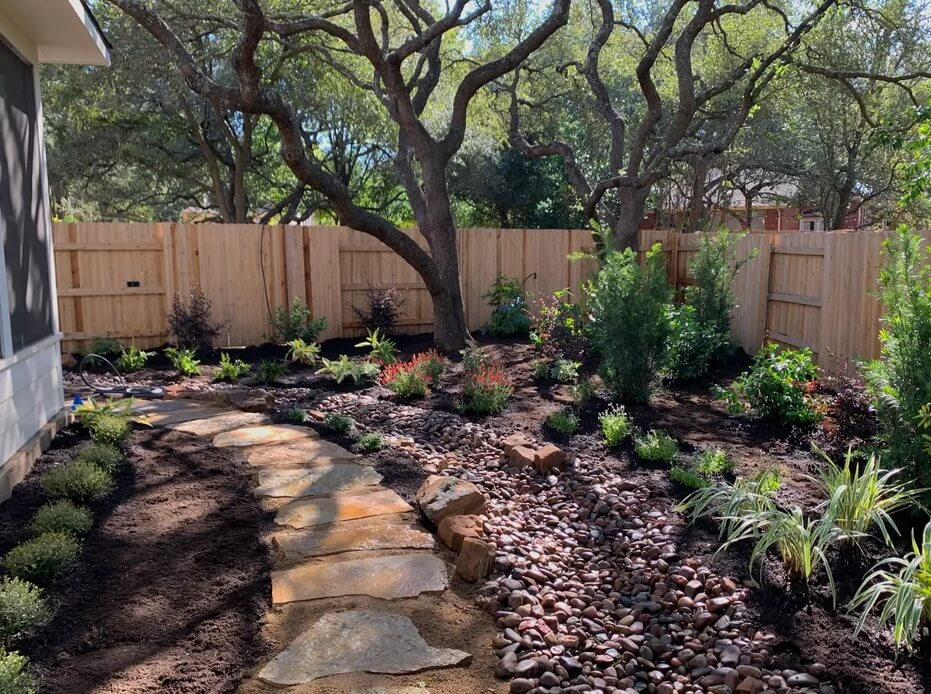 One Austin resident shared their experience rewilding their yard with native plants, offering inspiration for others.