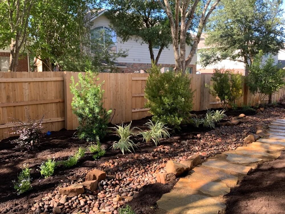 One Austin resident shared their experience rewilding their yard with native plants, offering inspiration for others.