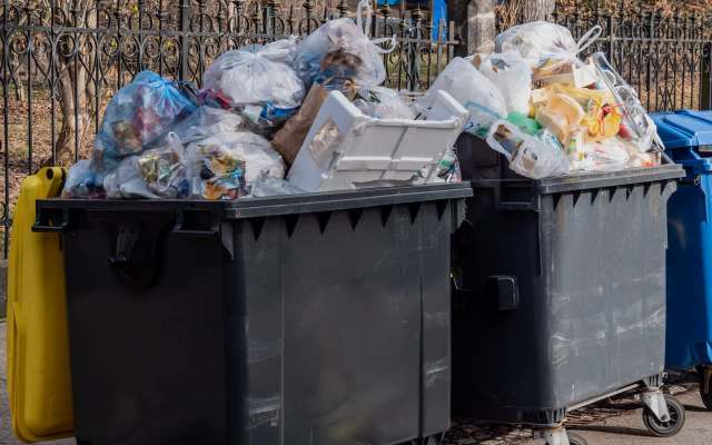 One dumpster diver showed off a major haul and turned the spotlight once again on the amount of food we could be salvaging from retail establishments.