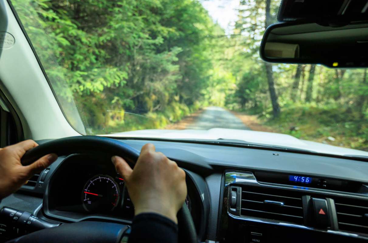 A video of a pickup truck stopping just in time to let an elk safely cross the road made a lot of people angry.