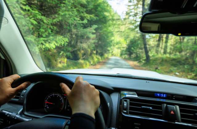 A video of a pickup truck stopping just in time to let an elk safely cross the road made a lot of people angry.