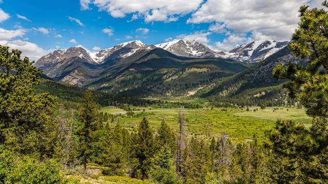 There was outrage on social media after a meme account posted a video taken by someone harassing an elk for a photo.