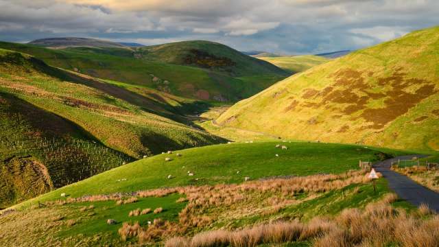 Endangered species in England, including the water vole and the willow tit, are benefiting from a multimillion-pound conservation investment.