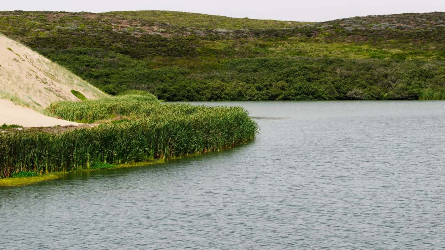 New data has confirmed the presence of 15,500 individual fish from 17 different species since the completion of a restoration project.