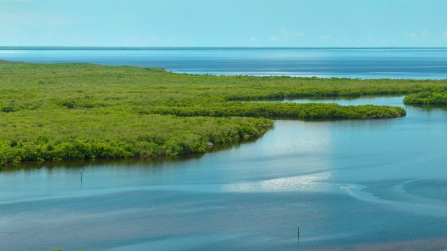 "It's a really novel predator with some novel traits."