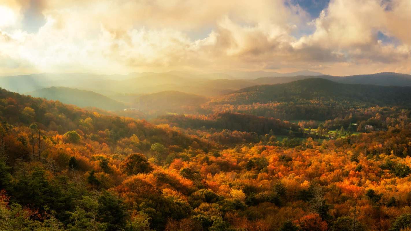 "We know the main reason we’re seeing these."