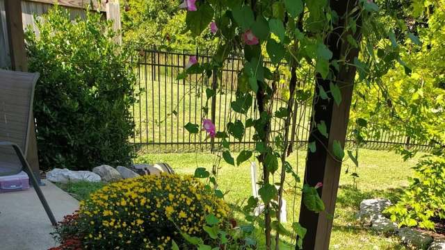 One Reddit user, thrilled with their fall garden, shared several photos showcasing their vibrant flowers, including a thriving mum plant.