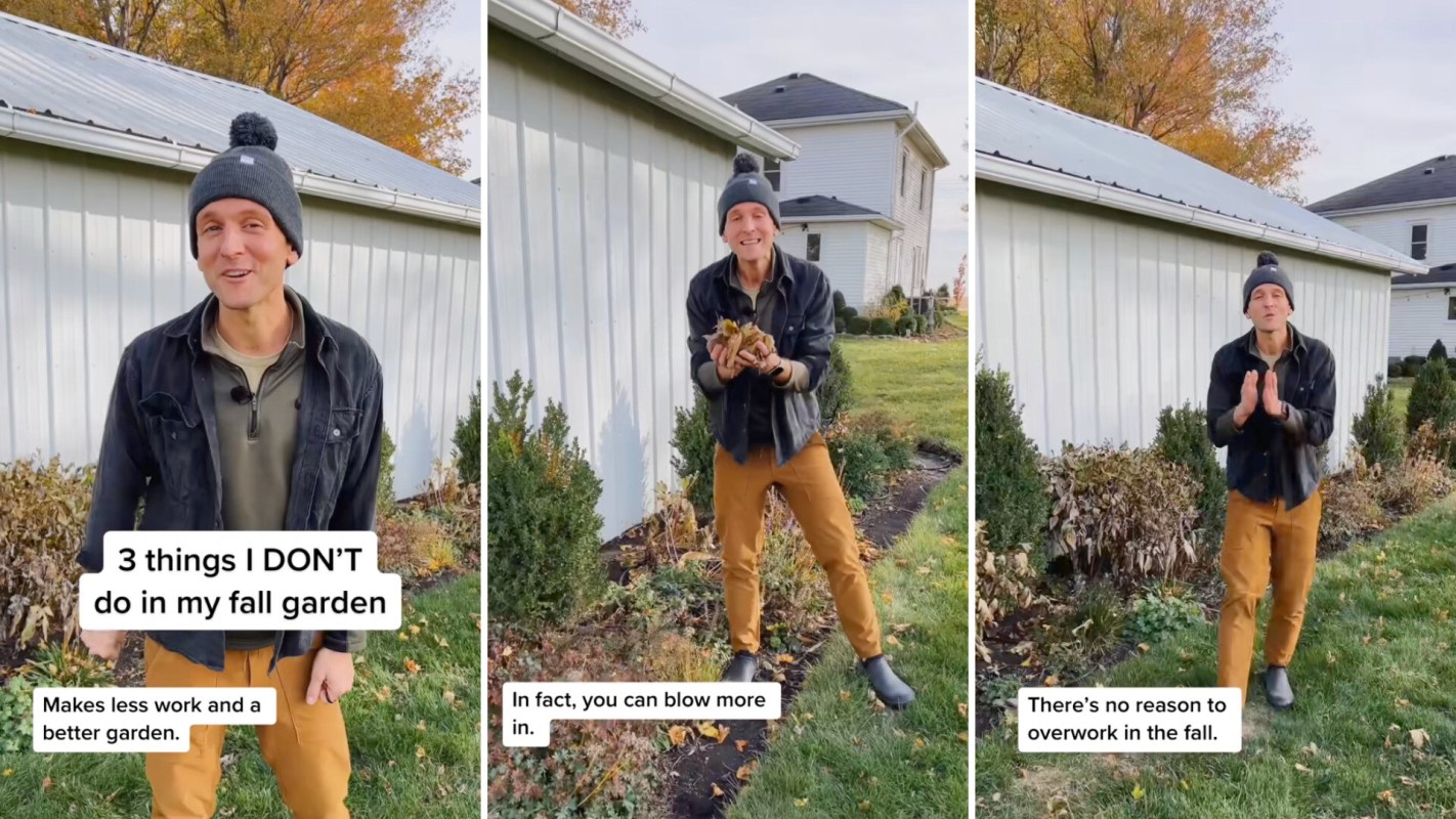 Commenters appreciated hearing that they could actually improve their garden by doing less work.