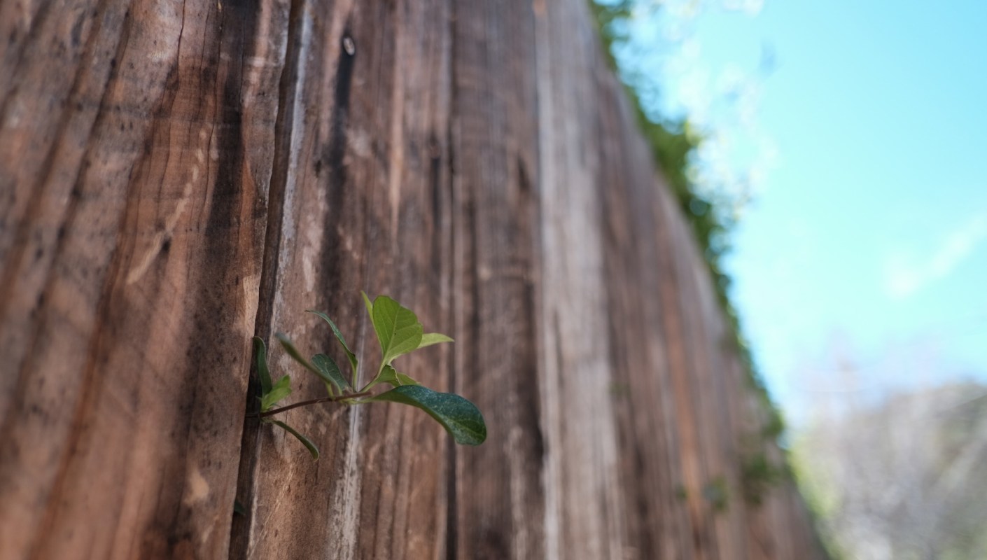 "They committed a crime."