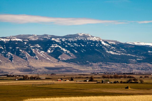 Wolves have killed a number of livestock in Oregon — leading to concerns for both farmers and the animals themselves.