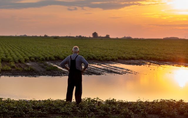 "The parable of the boiling frog serves as an apt warning."