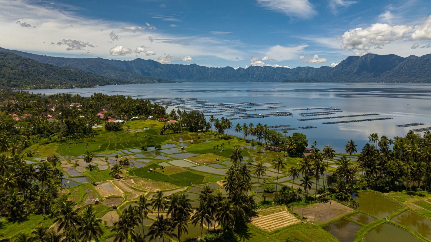 The cost of red chilies in Medan, Indonesia, hit 100,000 rupiah per kilo (roughly $6 USD) this week.