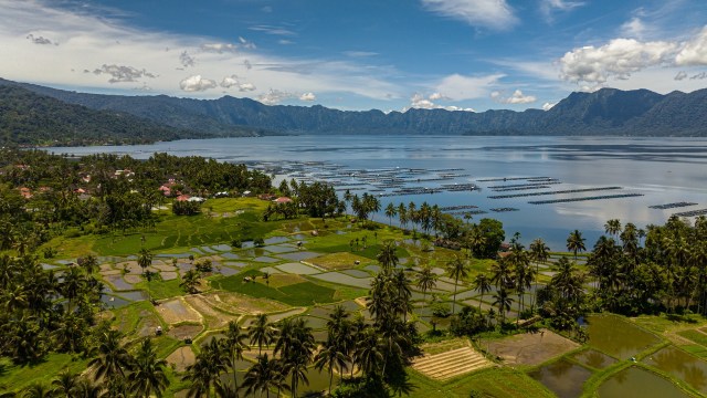 The cost of red chilies in Medan, Indonesia, hit 100,000 rupiah per kilo (roughly $6 USD) this week.