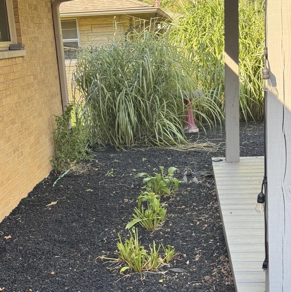 Rubber mulch may seem like a low-maintenance solution, but it can heat up to dangerously high temperatures in the sun.