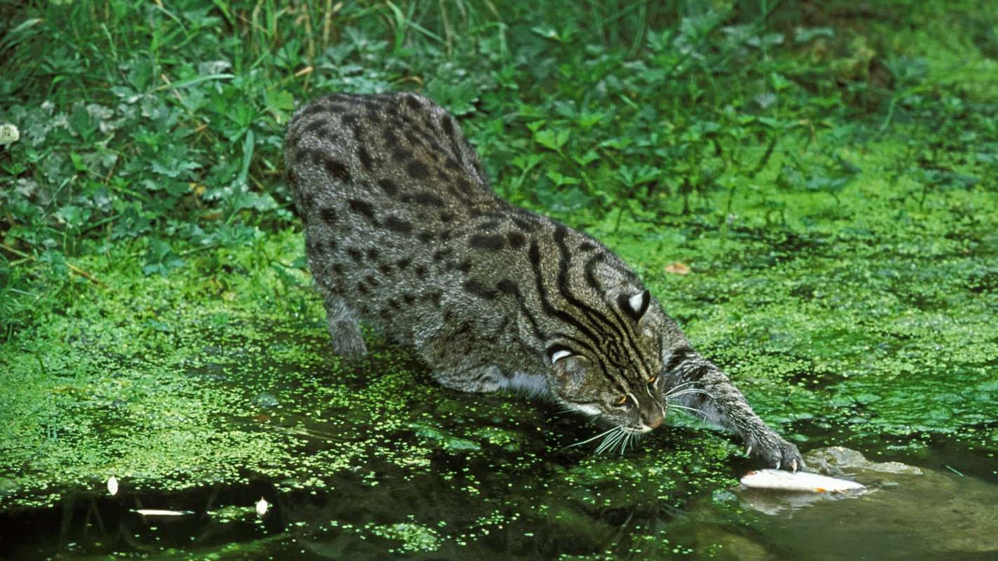 "This is a great find."