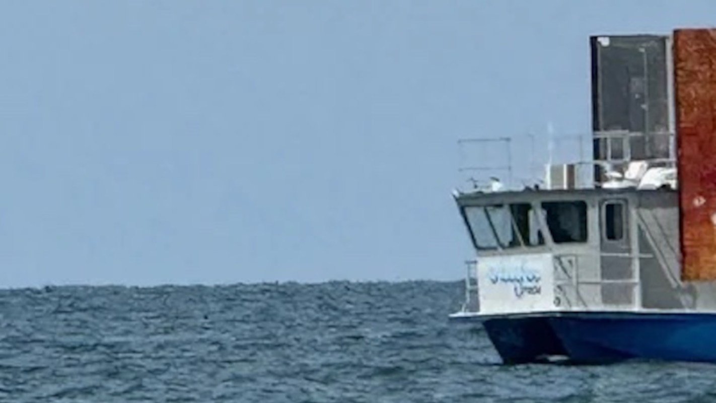 Activists are calling for bans.