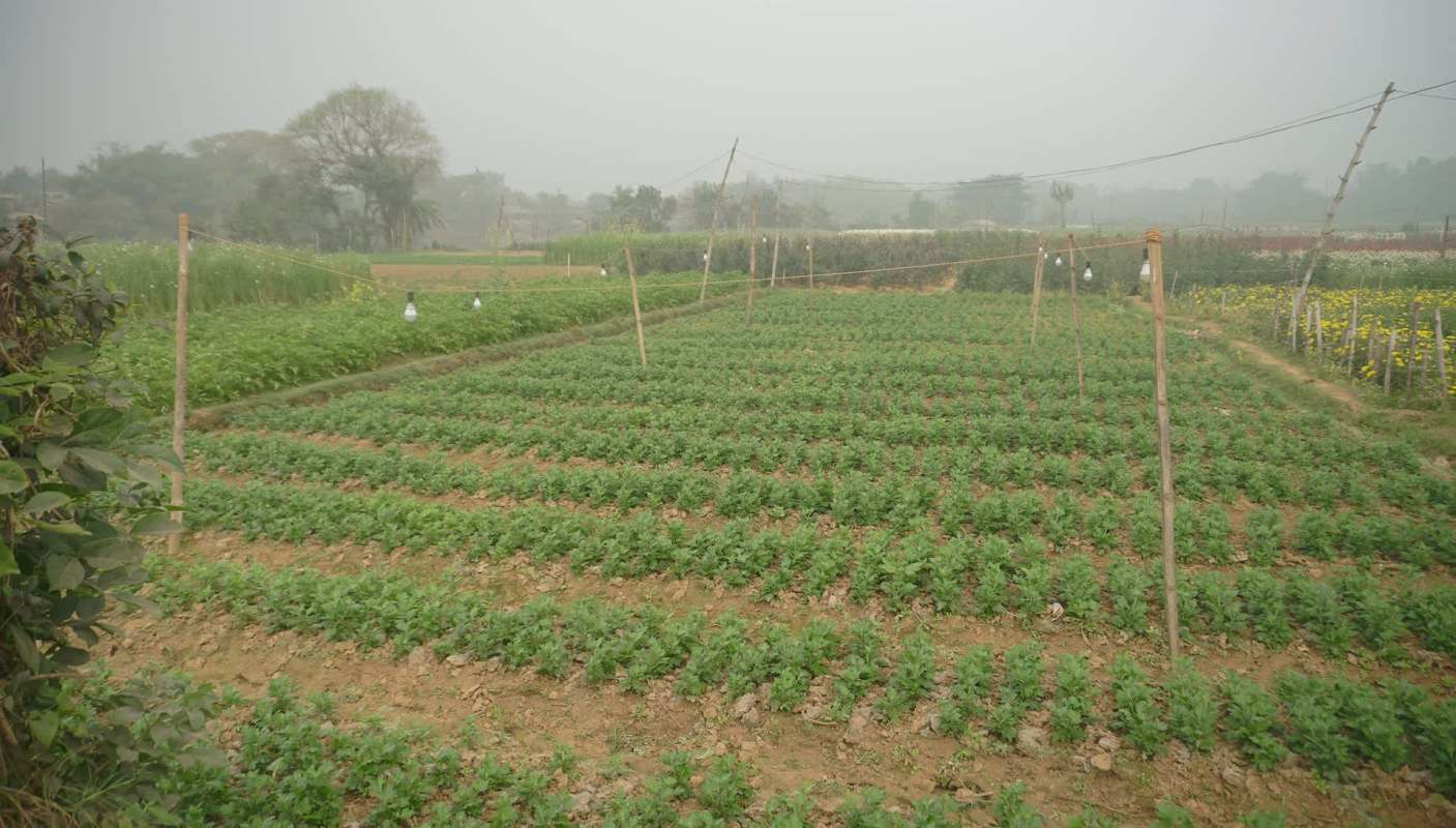 "Repeated disruptions."