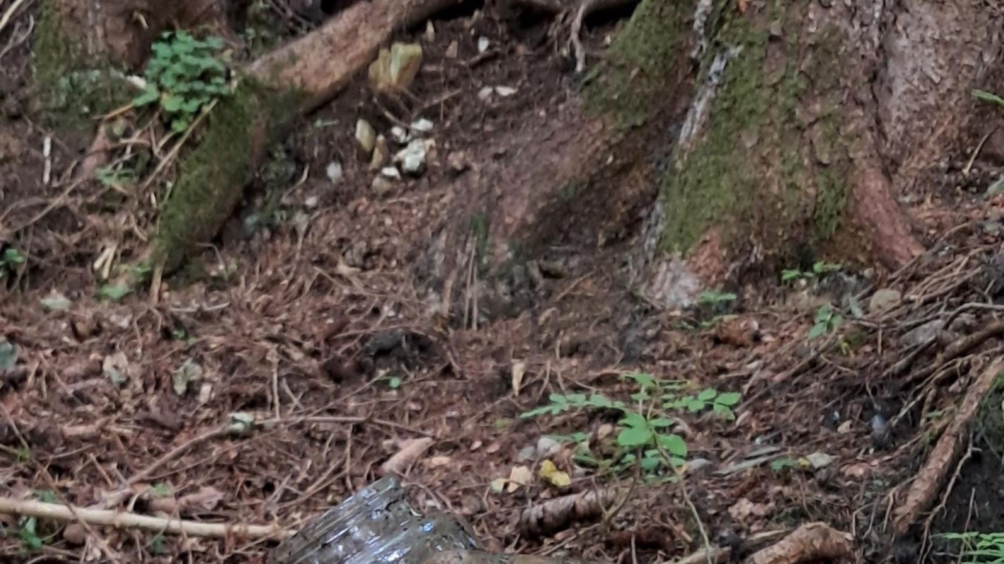 Users in the comments were equally frustrated.