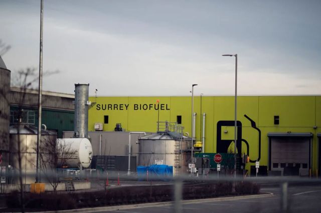 Researchers have identified a new bacterium that plays a crucial role in turning food waste into renewable natural gas.