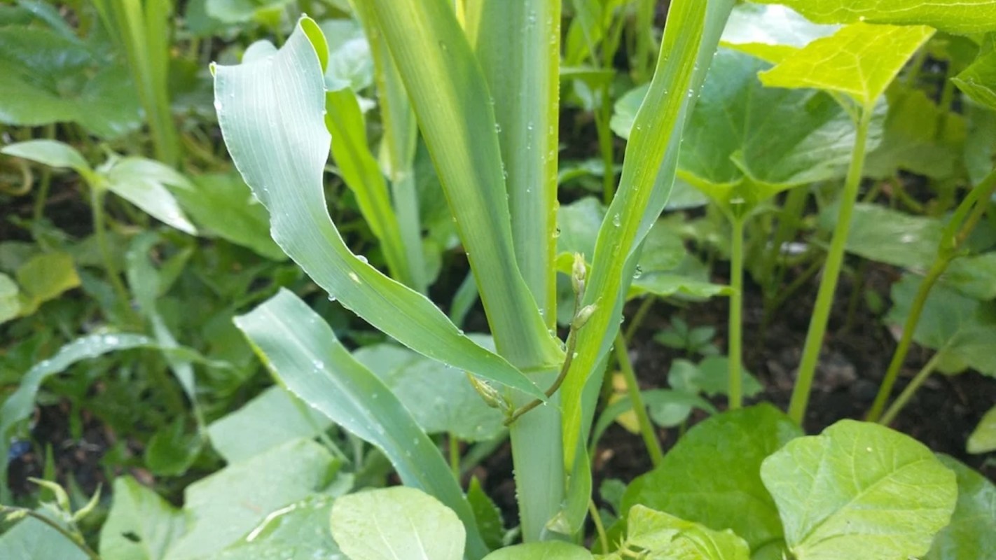 "Super interesting!"