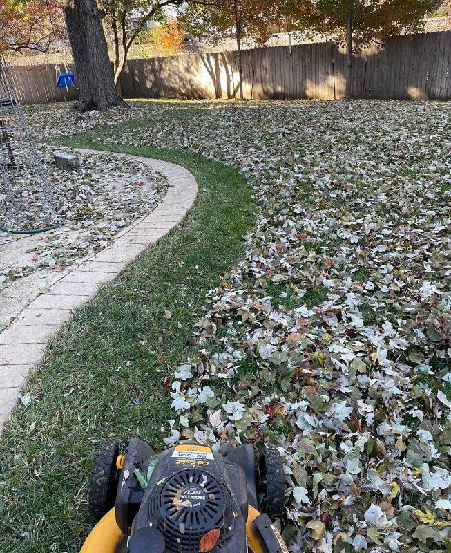 "It looks terrific and is a hell of a lot less work!"