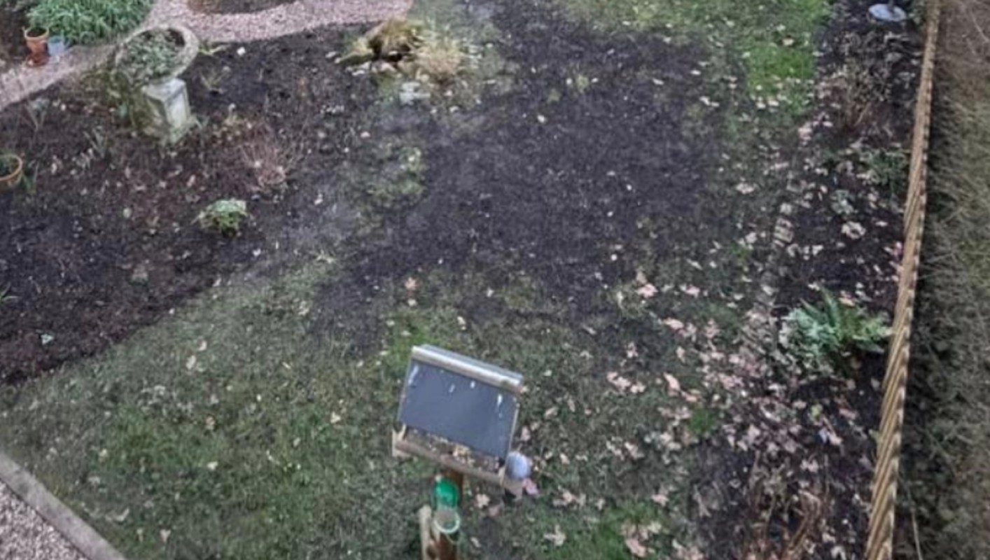 A series of images posted on TikTok walks the viewer through a stunning backyard transformation.