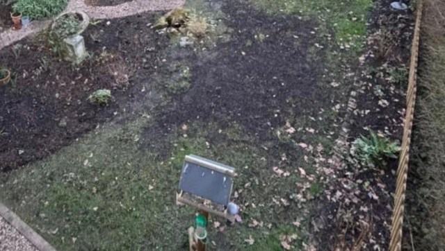 A series of images posted on TikTok walks the viewer through a stunning backyard transformation.