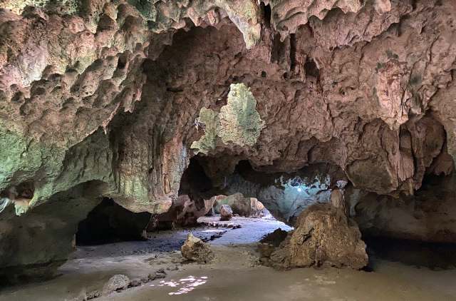 The Kenya Electricity Generating Company revealed a new geothermal-powered EV Hub in Olkaria.