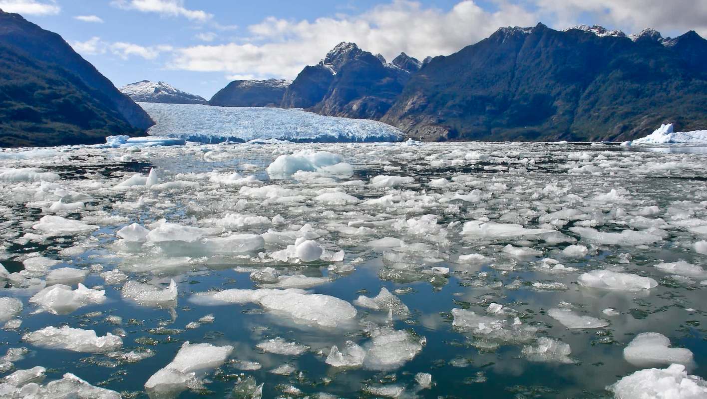 The researchers have called for further study.