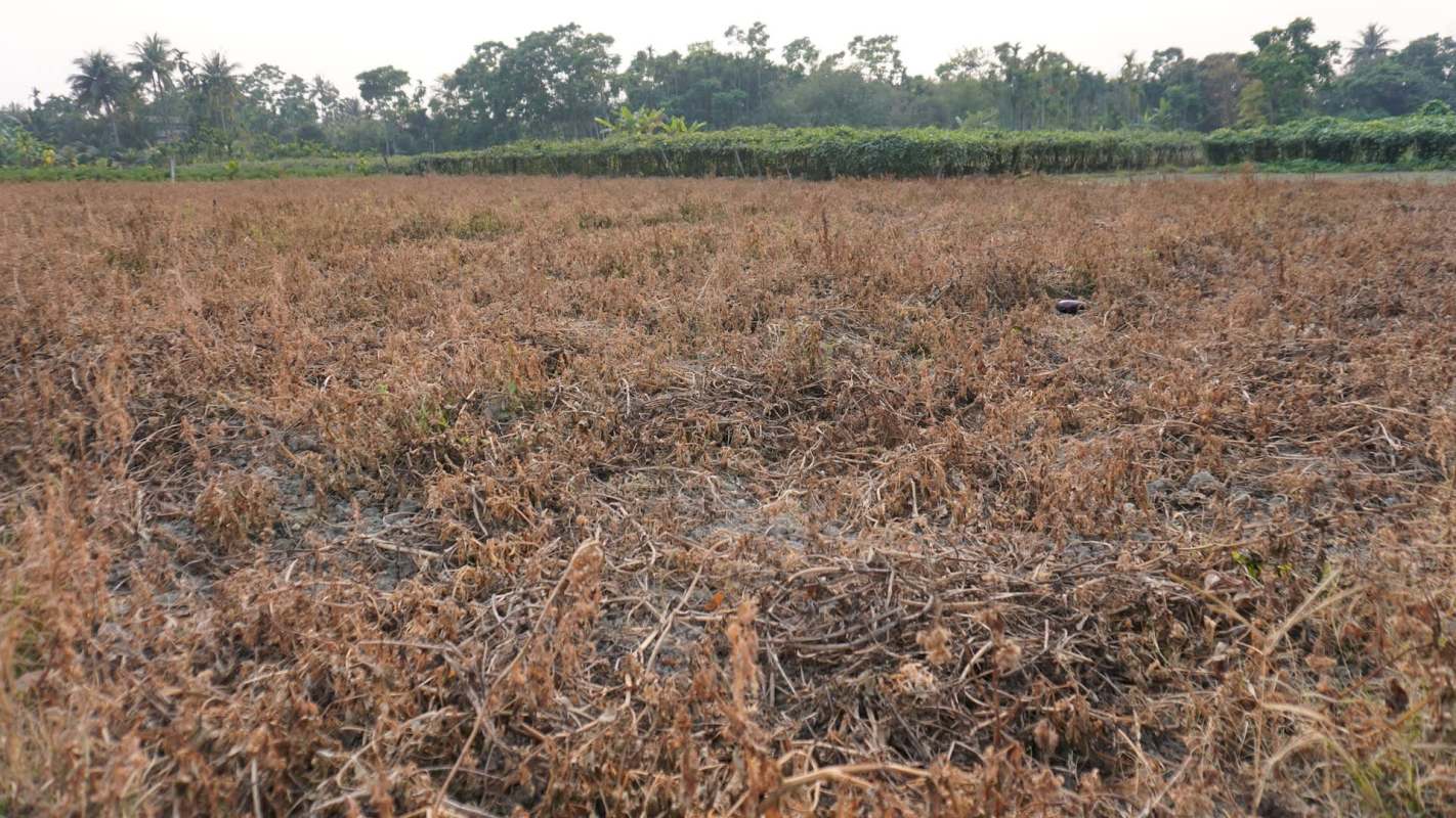 This viral TikTok hilariously showcases a method called "goatscaping," an eco-friendly approach to land management.