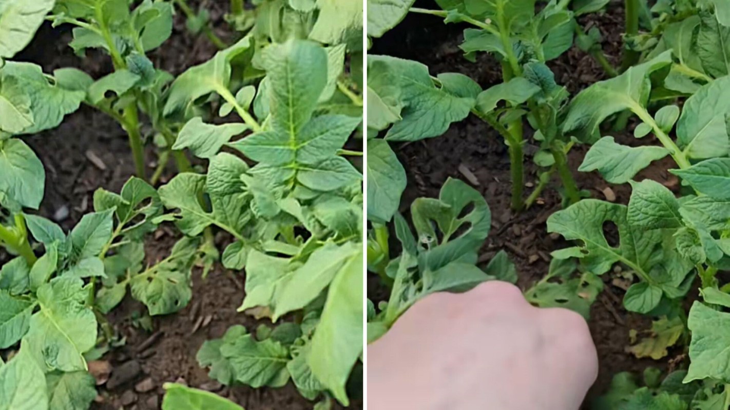 "Thank you for the lesson!"