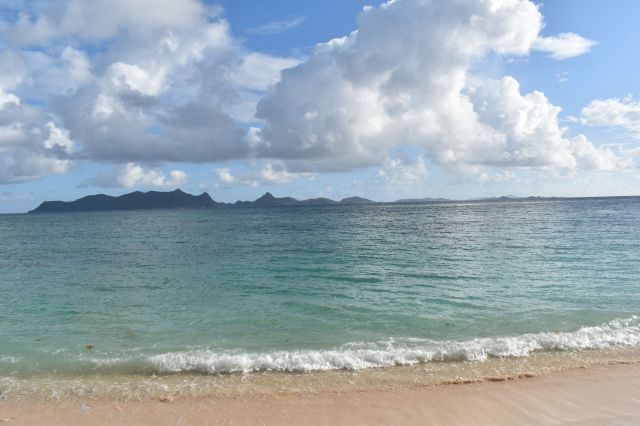 The heaps of rotting sargassum either end up in landfills, or stay on the beach. In either case, they emit ammonia and heat-trapping methane.