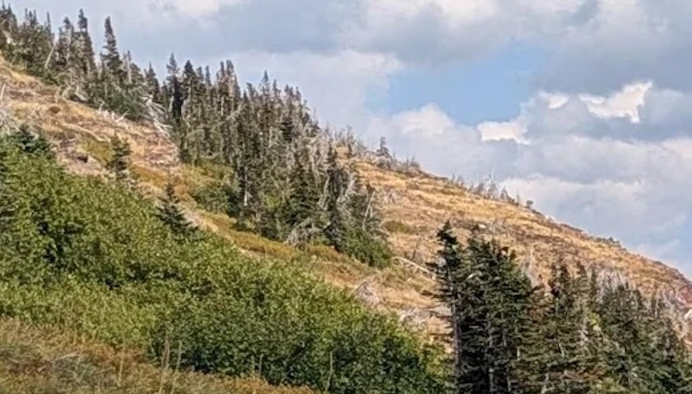 "There is a time and place."