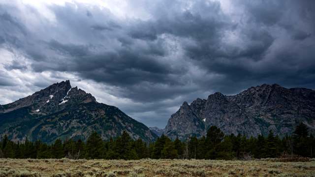 "You’re definitely too close."