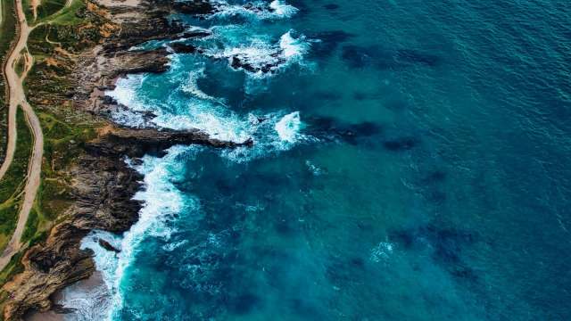 It impacts humans as well as wildlife.