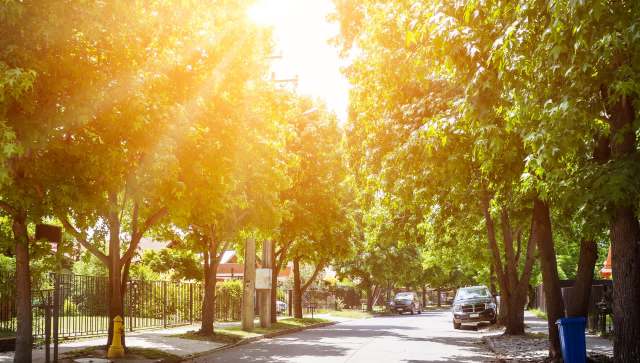 "Going to save lives."