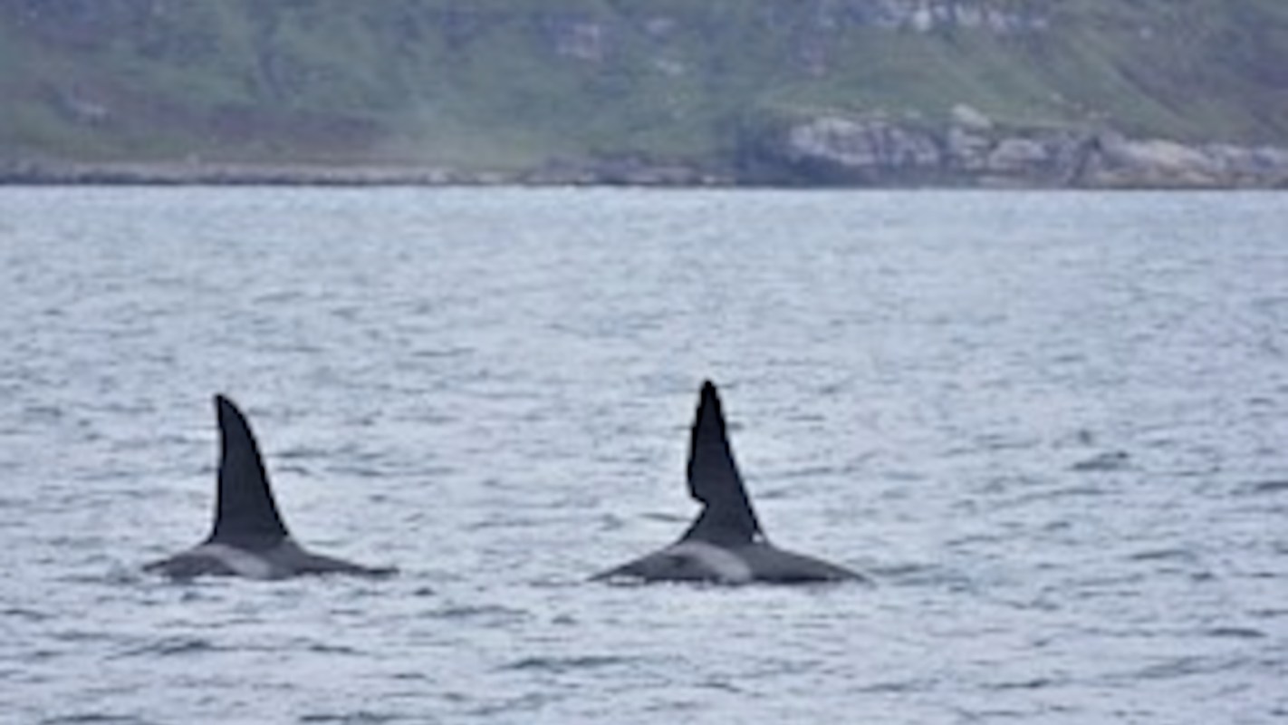 "I have never seen them interact in this way before."