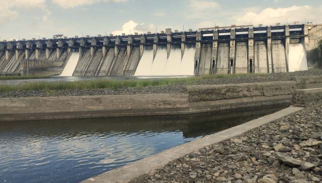 Helicopter fish have infested the Ujani Dam in Maharashtra, India, threatening native species, as reported by Punekar News.