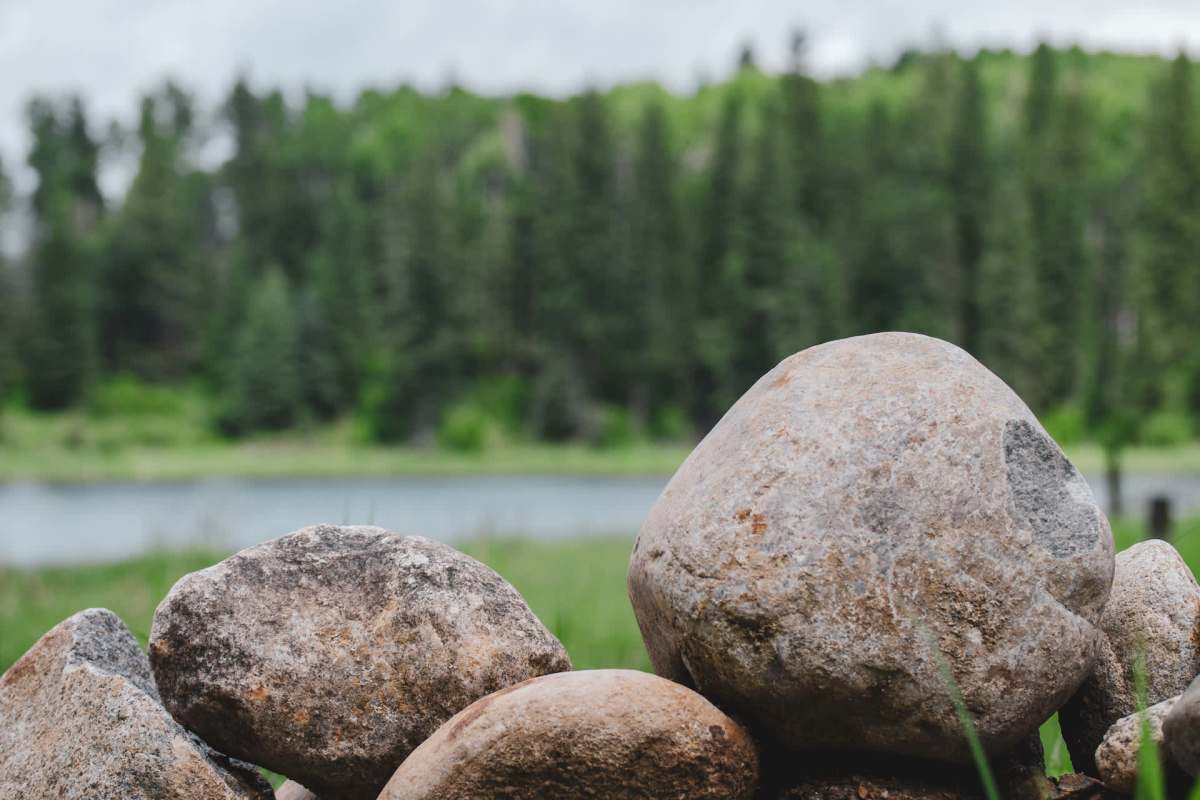 "Might seem harmless."