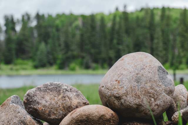 "Might seem harmless."