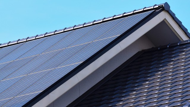 "It might look really good."