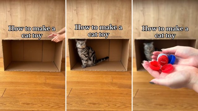 "Definitely need to try this."