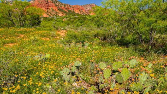 "These little guys have a way of getting that attention."