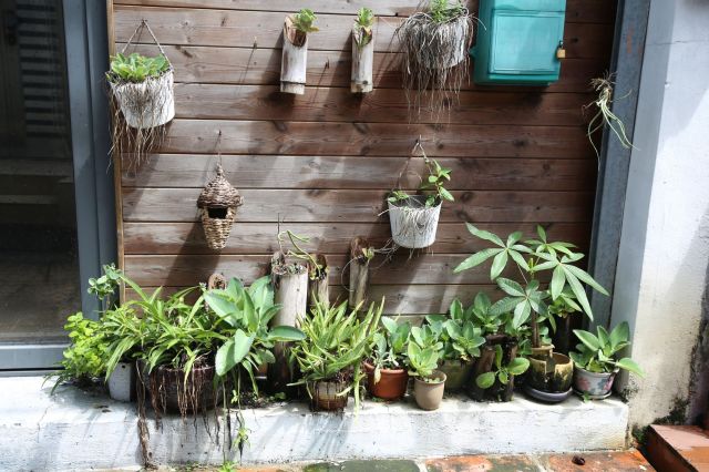 "If we like pumpkin spice, they must too."