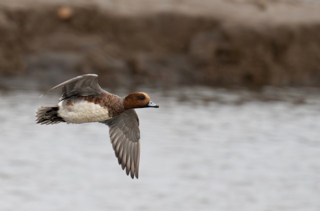 The main challenge is getting everyone on board.