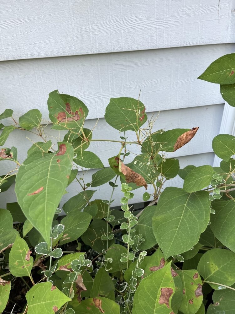 "Doing the lord's work."