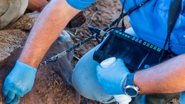 "Rare and significant success."